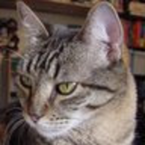 Meet your Posher, Kandi - Picture 1 of 1